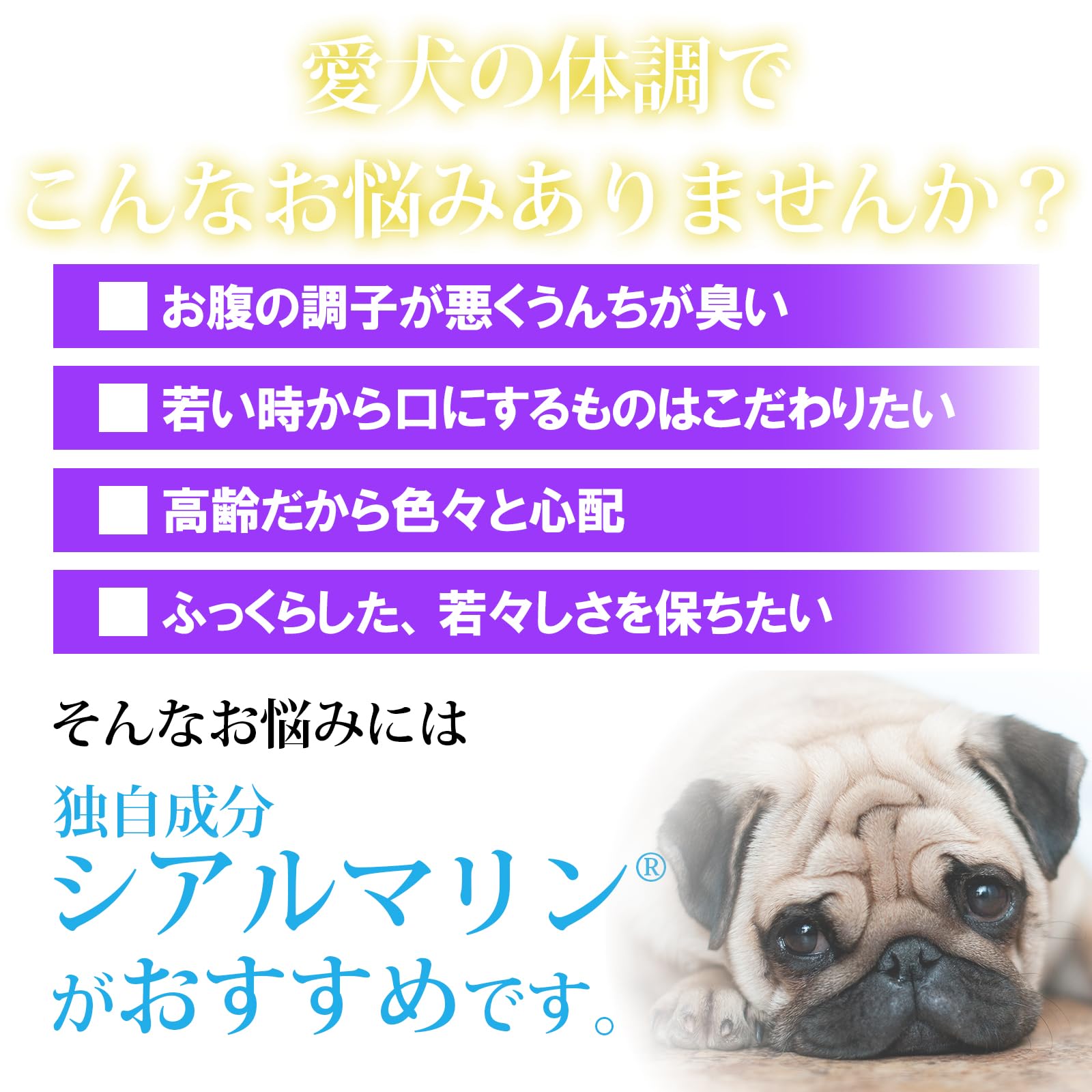 メディカルワン 顆粒タイプ犬用　2袋セット　＋　サンプル付き Amazon.co.jp: 犬用【関節 冬虫夏草 腸内環境】獣医師推奨メディカル